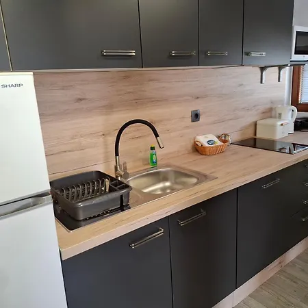 Apartment The Moon House Terme Catez Catez ob Savi