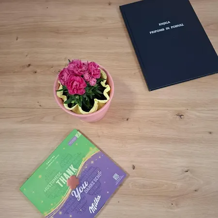 Apartament The Moon House Terme Catez *